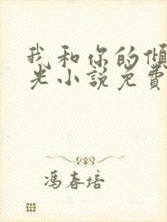 我和你的倾城时光小说免费阅读全文
