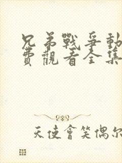 兄弟战争动漫免费观看全集