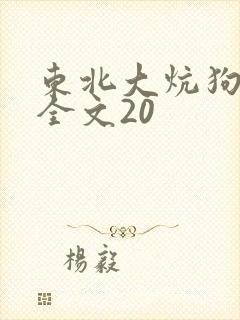 东北大炕狗儿娘全文20封面