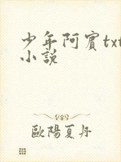 少年阿宾txt小说