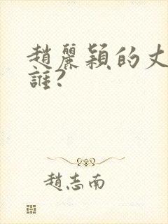 赵丽颖的丈夫是谁?
