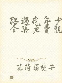 路过我年少时光全集免费观看