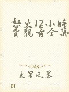 怒火12小时免费观看全集封面