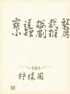 霸道总裁系列的小短剧推荐封面