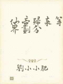 仙帝归来等级境界划分