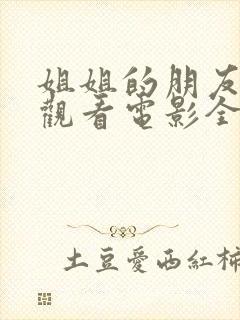 姐姐的朋友在线观看电影全集封面