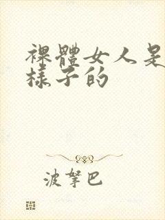 裸体女人是什么样子的