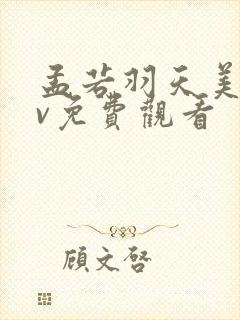 孟若羽天美传mv免费观看