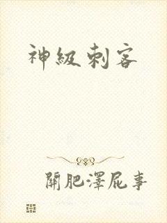 神级刺客