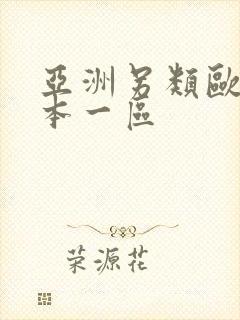 亚洲另类欧美日本一区