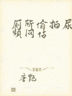 厕所偷拍尿尿视频网站