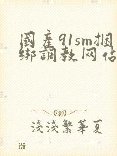 国产91sm捆绑调教网站视频