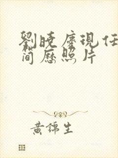 刘晓庆现任丈夫简历照片