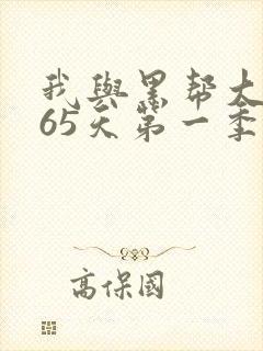 我与黑帮大佬365天第一季
