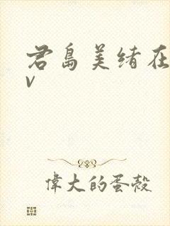 君岛美绪在线av