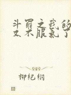 斗罗之我的系统又不服气了下载
