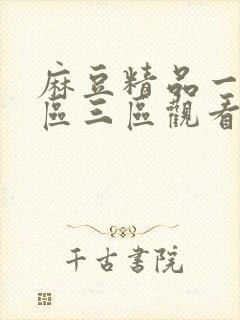 麻豆精品一区二区三区观看