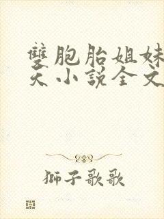 双胞胎姐妹乐翻天小说全文阅读封面