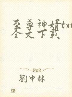至尊神婿txt全文下载