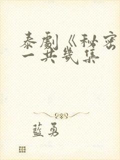 泰剧《秘密爱》一共几集