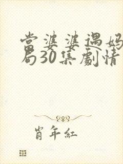 当婆婆遇妈大结局30集剧情