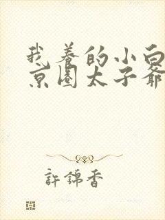 我养的小白脸是京圈太子爷短剧下载