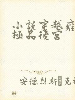 小说穿越雍正之极品后宫