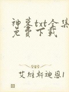 神墓txt全集免费下载