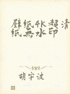 壁纸4k超清壁纸无水印