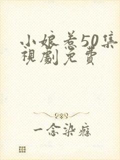 小娘惹50集电视剧免费