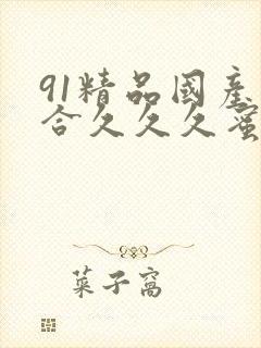 91精品国产综合久久久蜜臀99