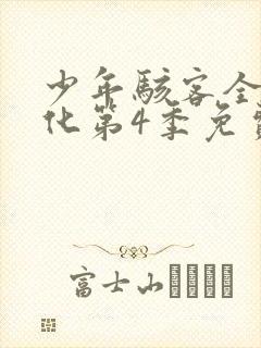 少年骇客全面进化第4季免费