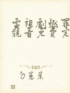 电视剧燃罪在线观看免费完整版封面