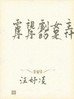 电视剧女主角叫丹丹的是什么电视剧