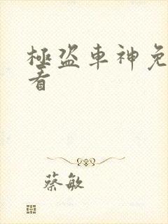 极盗车神免费观看