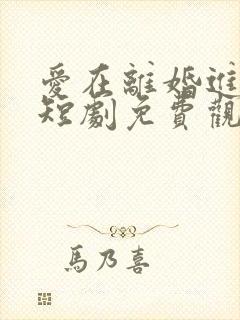 爱在离婚进行时短剧免费观看全集