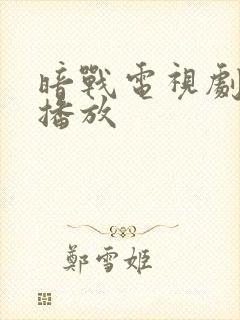 暗战电视剧全集播放封面