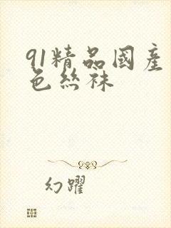 91精品国产黑色丝袜