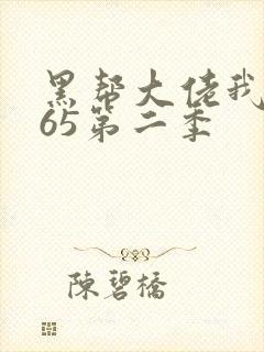 黑帮大佬我的365第二季