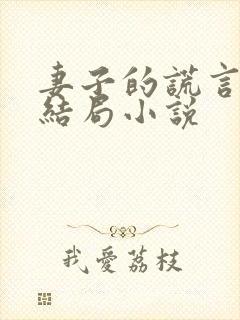 妻子的谎言程心结局小说