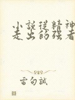 小说从精神病院走出的强者封面