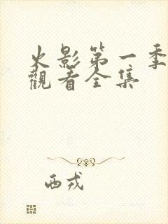 火影第一季免费观看全集