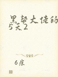 黑帮大佬的365天2