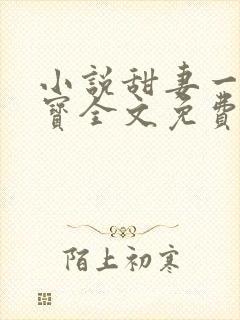小说甜妻一胎双宝全文免费阅读封面