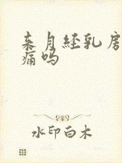 来月经乳房会胀痛吗