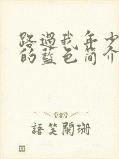 路过我年少时光的蓝色简介