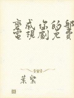 变成你的那一天电视剧免费观看全集