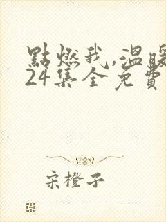 点燃我,温暖你24集全免费