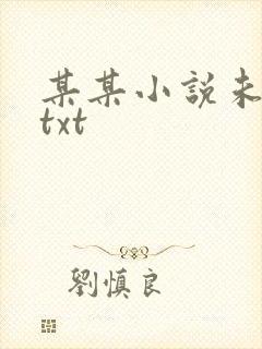 某某小说未删减txt