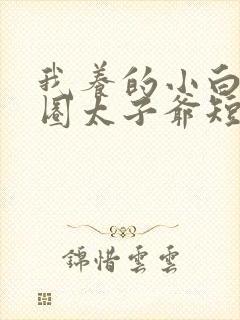 我养的小白脸京圈太子爷短剧资源